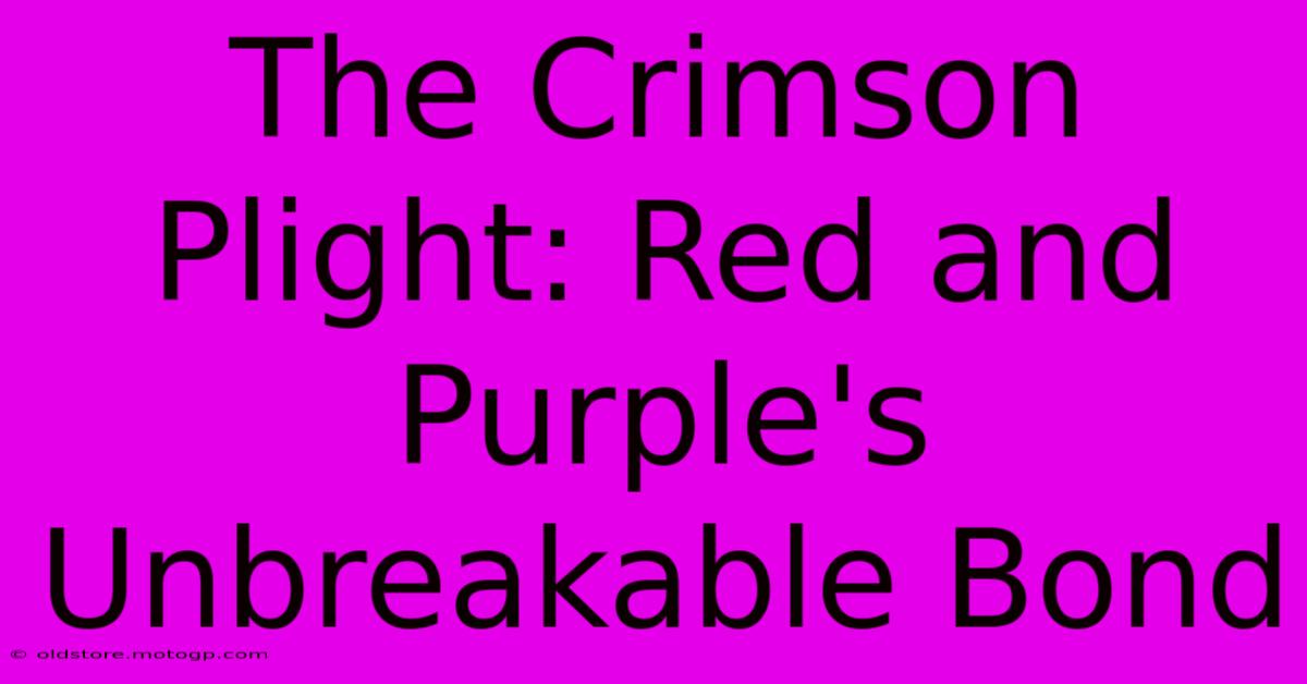 The Crimson Plight: Red And Purple's Unbreakable Bond