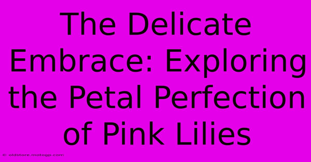 The Delicate Embrace: Exploring The Petal Perfection Of Pink Lilies