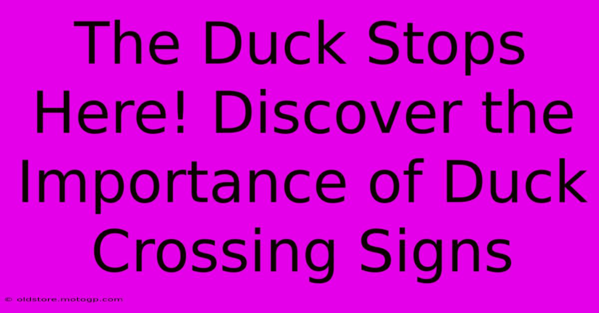 The Duck Stops Here! Discover The Importance Of Duck Crossing Signs