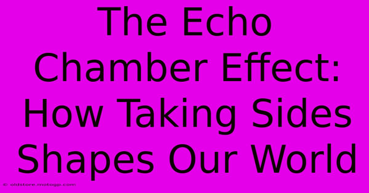 The Echo Chamber Effect: How Taking Sides Shapes Our World