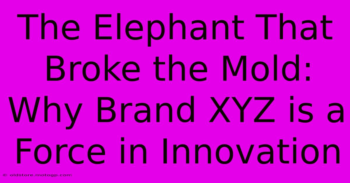 The Elephant That Broke The Mold: Why Brand XYZ Is A Force In Innovation