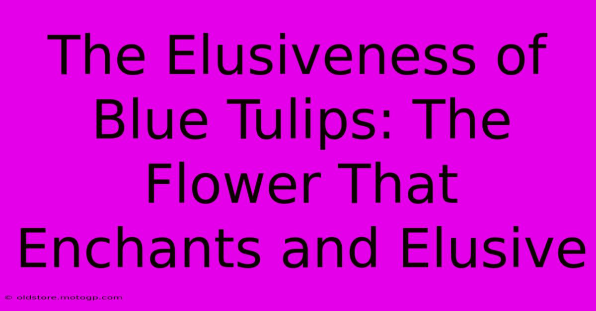 The Elusiveness Of Blue Tulips: The Flower That Enchants And Elusive