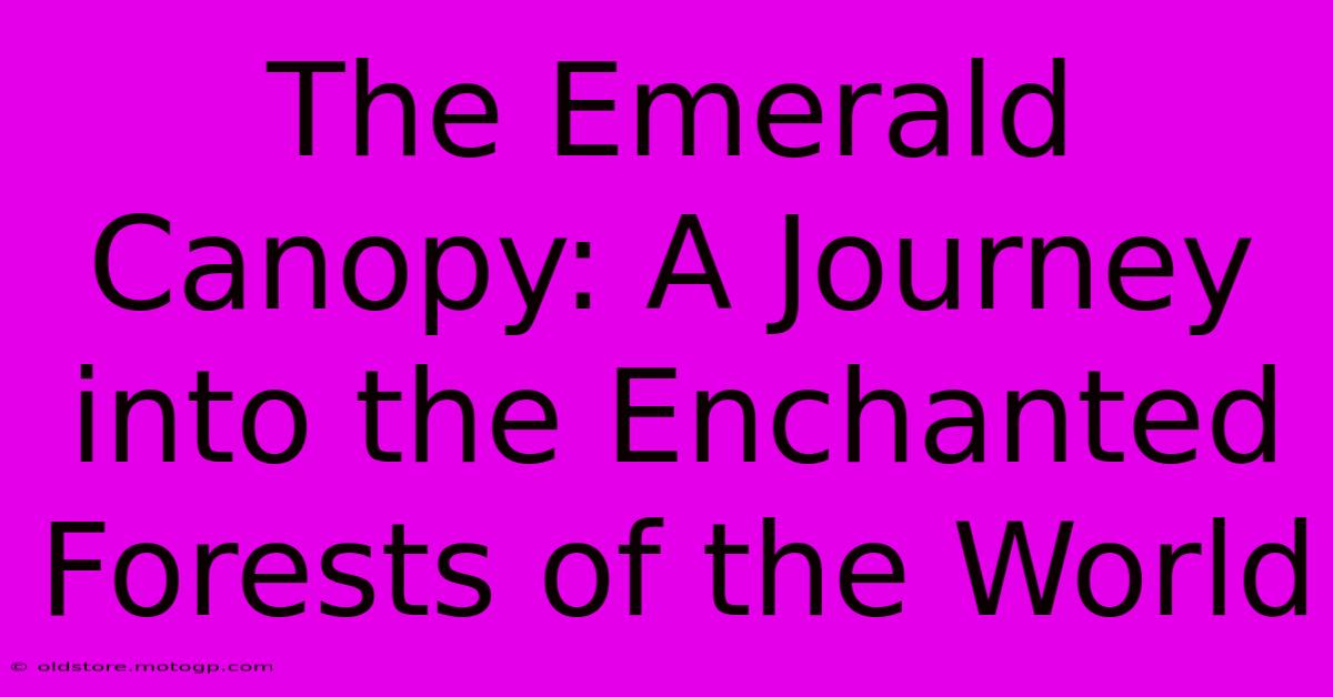 The Emerald Canopy: A Journey Into The Enchanted Forests Of The World