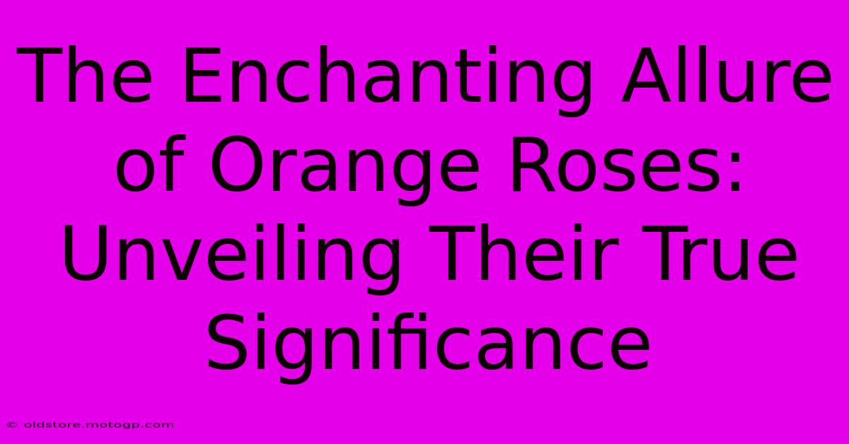 The Enchanting Allure Of Orange Roses: Unveiling Their True Significance