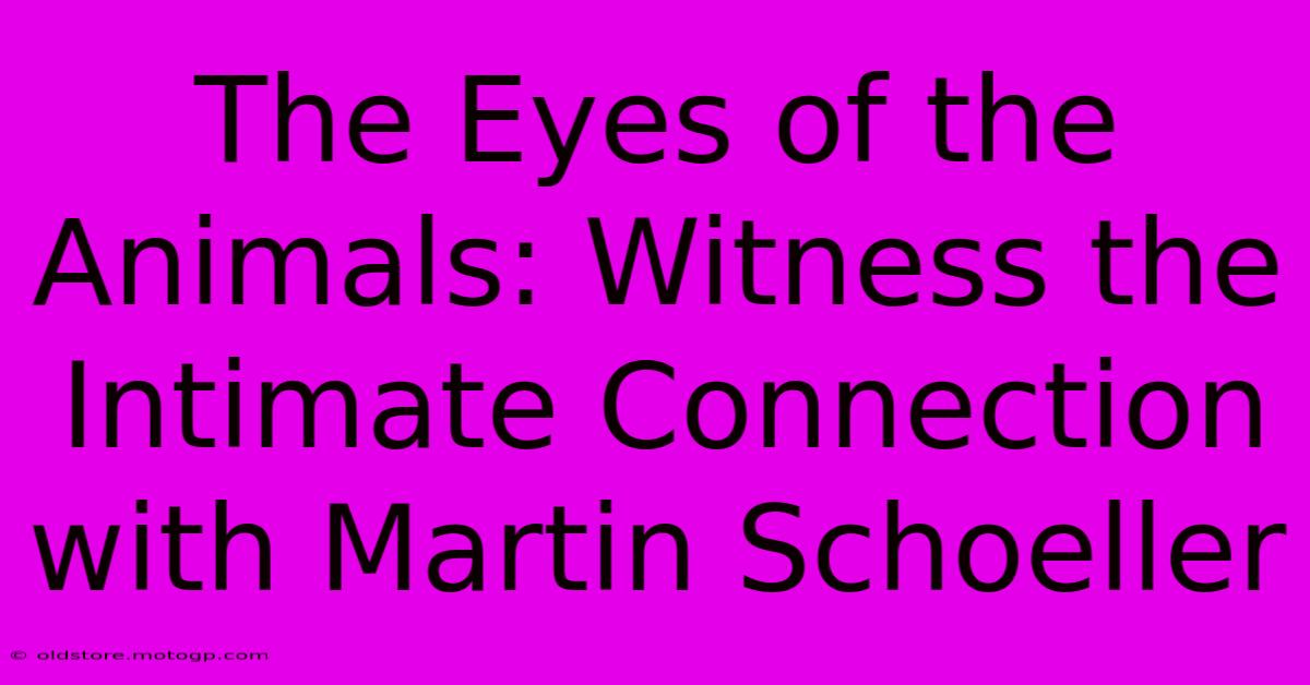 The Eyes Of The Animals: Witness The Intimate Connection With Martin Schoeller