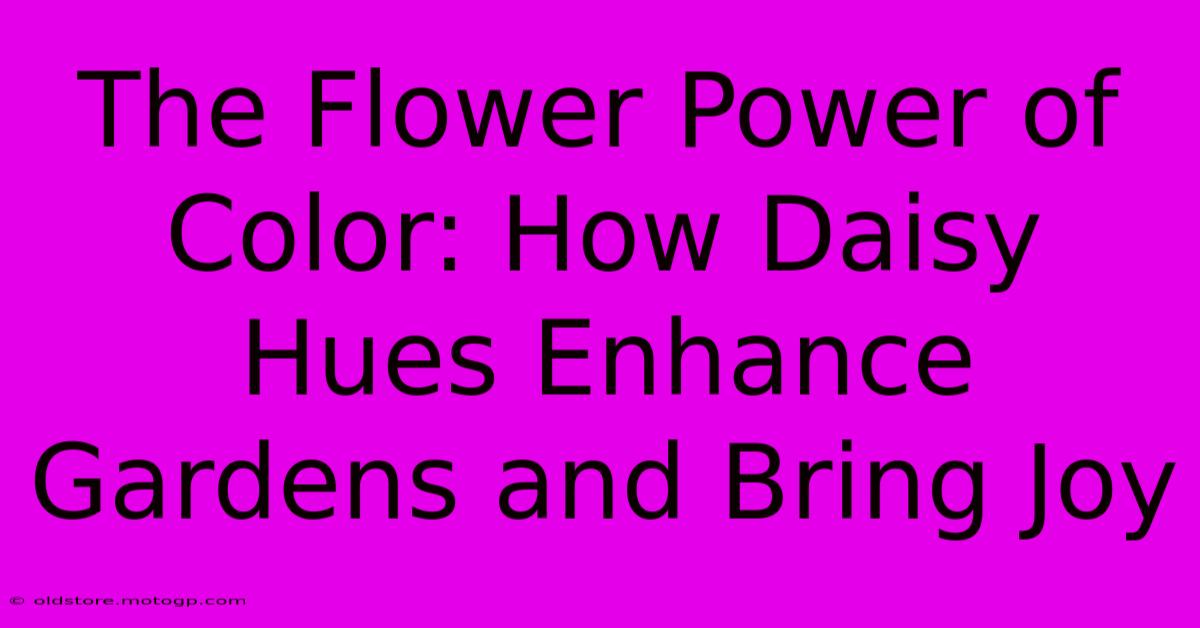 The Flower Power Of Color: How Daisy Hues Enhance Gardens And Bring Joy