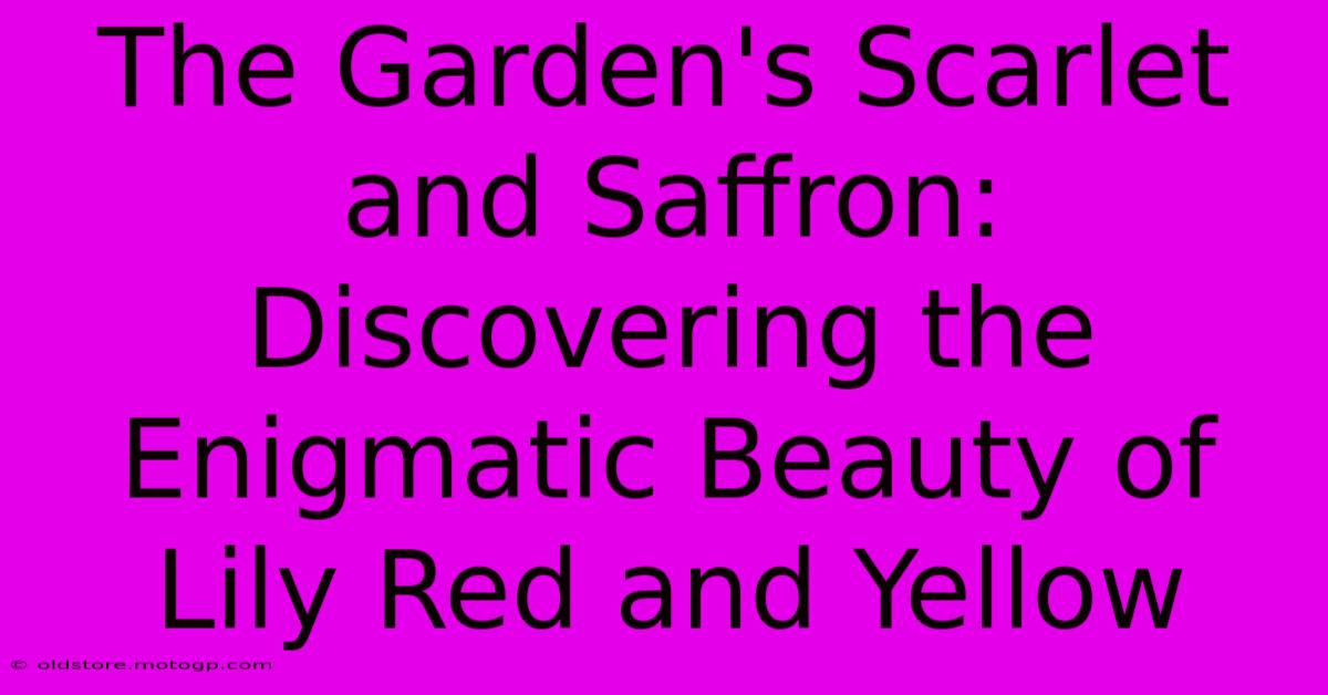 The Garden's Scarlet And Saffron: Discovering The Enigmatic Beauty Of Lily Red And Yellow