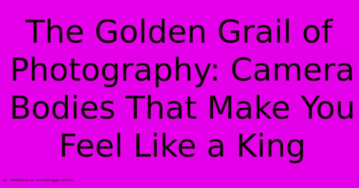 The Golden Grail Of Photography: Camera Bodies That Make You Feel Like A King