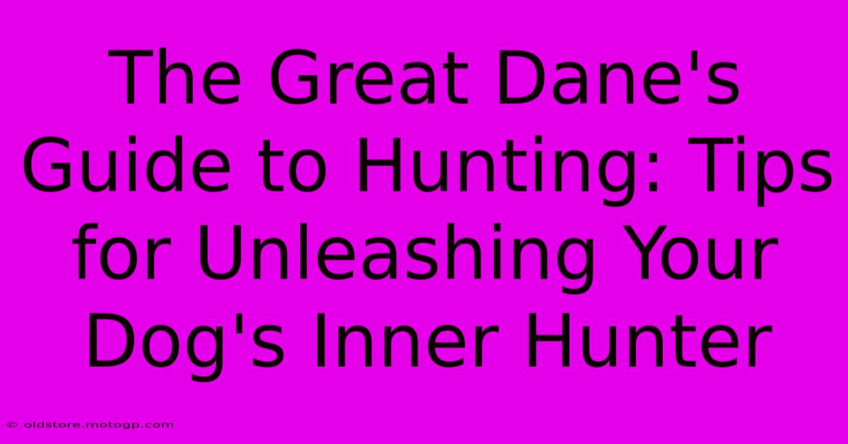 The Great Dane's Guide To Hunting: Tips For Unleashing Your Dog's Inner Hunter