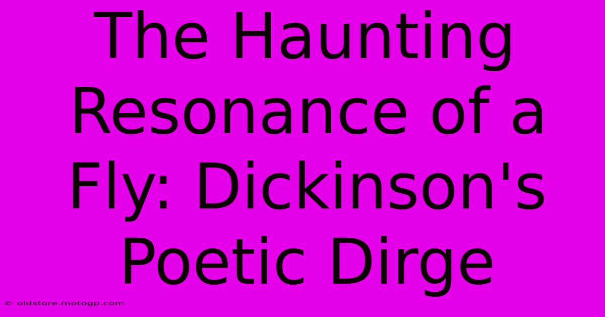 The Haunting Resonance Of A Fly: Dickinson's Poetic Dirge