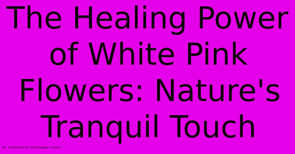 The Healing Power Of White Pink Flowers: Nature's Tranquil Touch