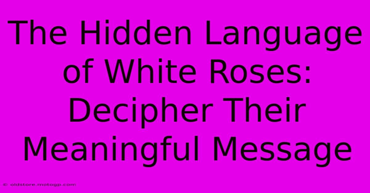 The Hidden Language Of White Roses: Decipher Their Meaningful Message