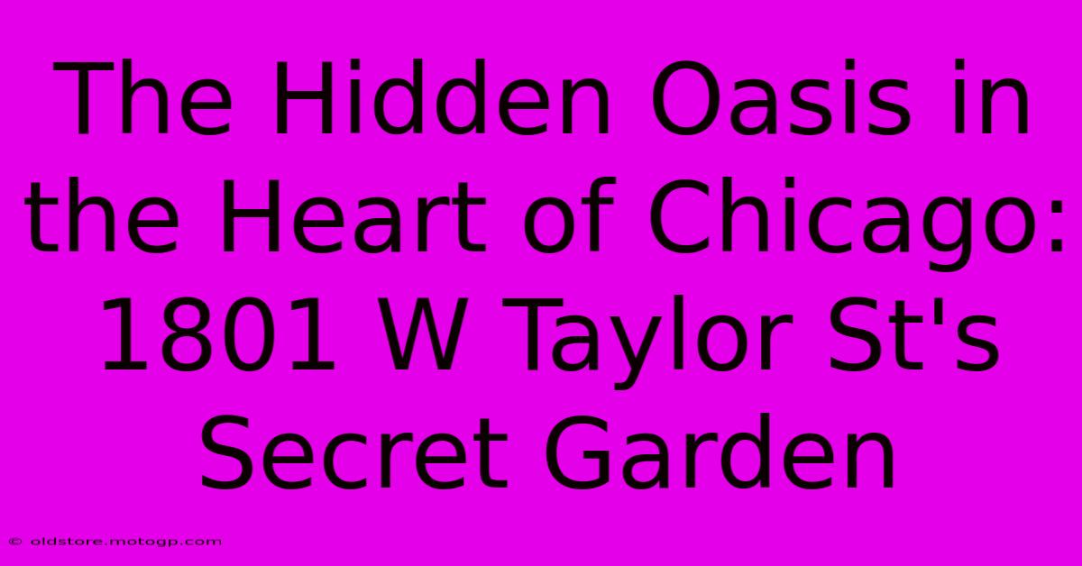 The Hidden Oasis In The Heart Of Chicago: 1801 W Taylor St's Secret Garden