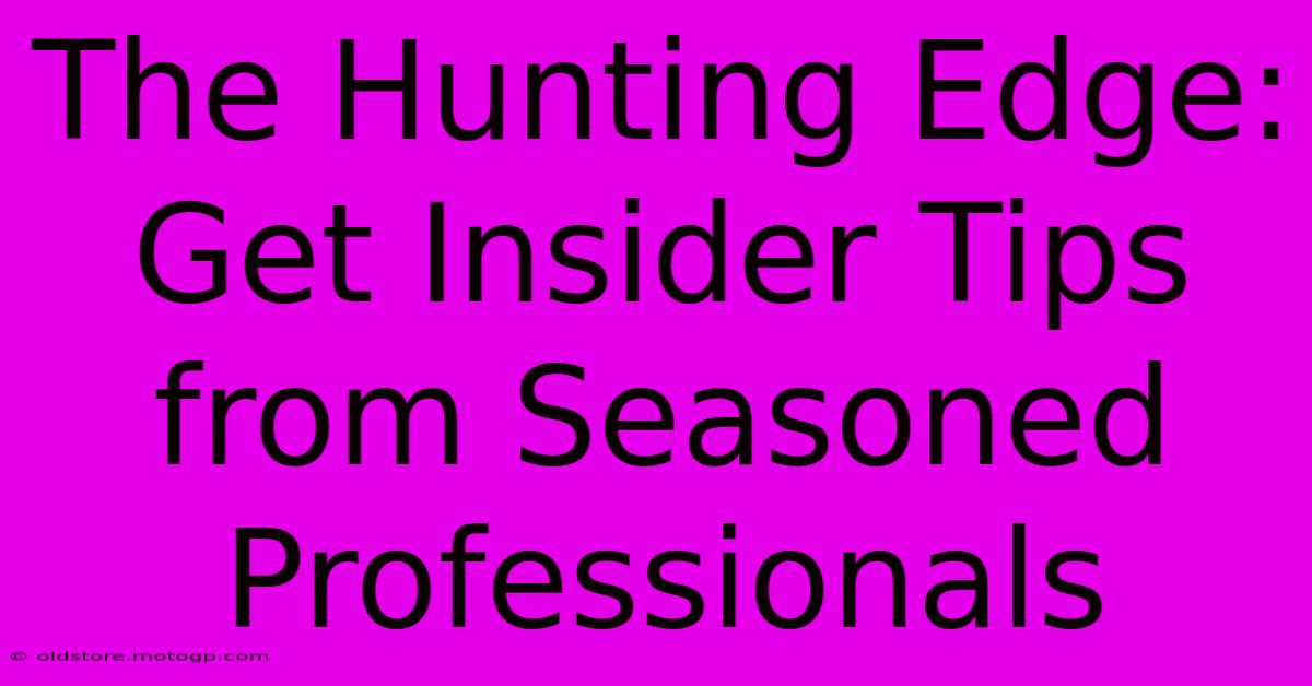 The Hunting Edge: Get Insider Tips From Seasoned Professionals