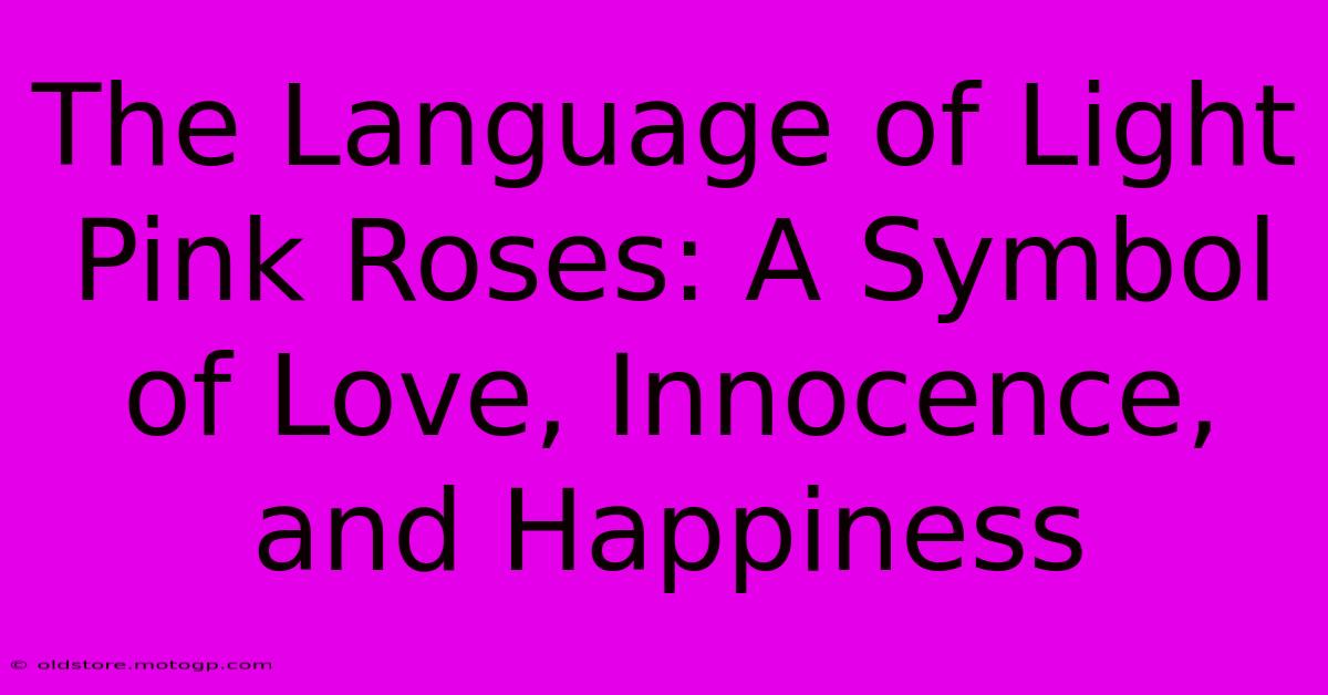 The Language Of Light Pink Roses: A Symbol Of Love, Innocence, And Happiness