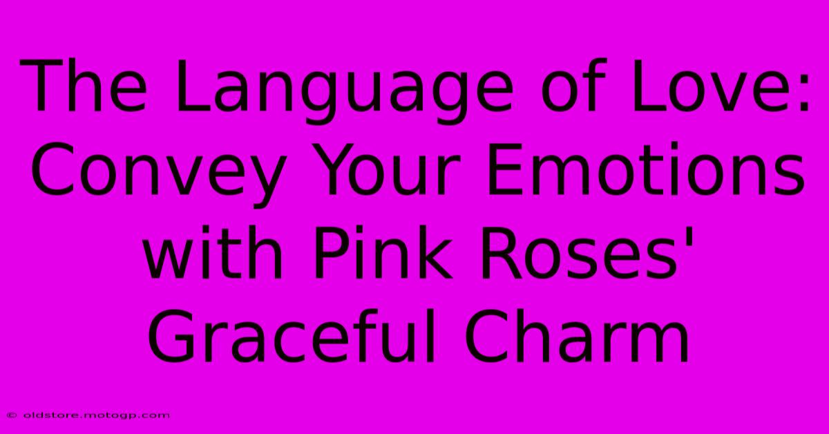 The Language Of Love: Convey Your Emotions With Pink Roses' Graceful Charm