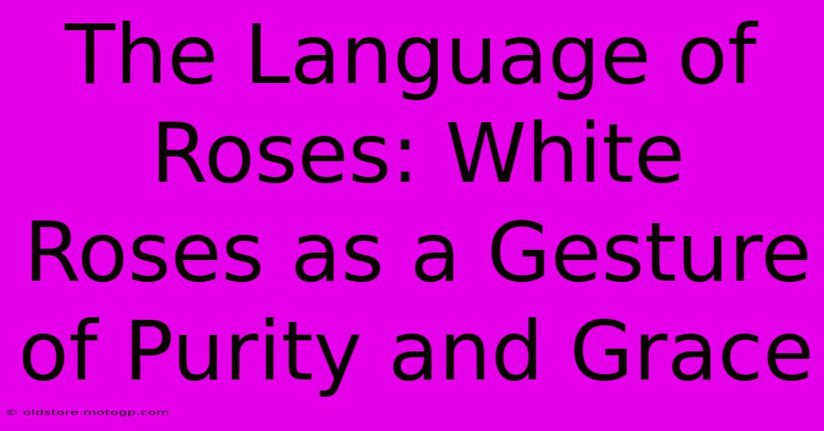 The Language Of Roses: White Roses As A Gesture Of Purity And Grace