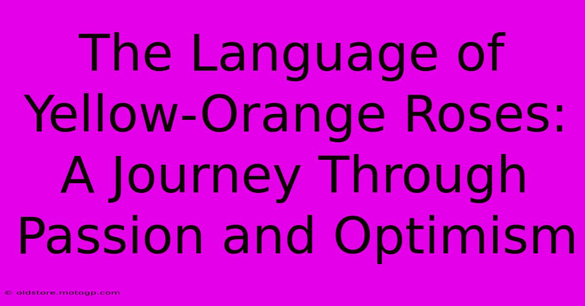 The Language Of Yellow-Orange Roses: A Journey Through Passion And Optimism