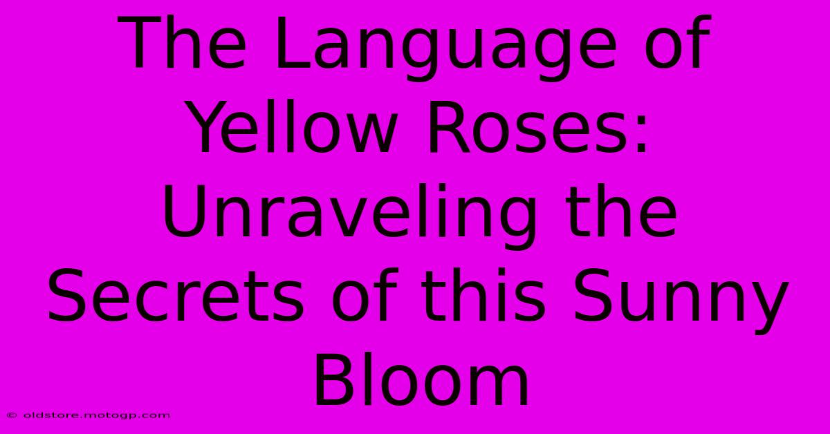 The Language Of Yellow Roses: Unraveling The Secrets Of This Sunny Bloom