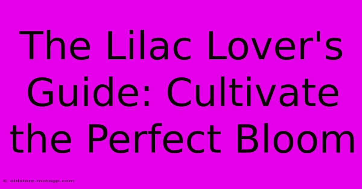 The Lilac Lover's Guide: Cultivate The Perfect Bloom