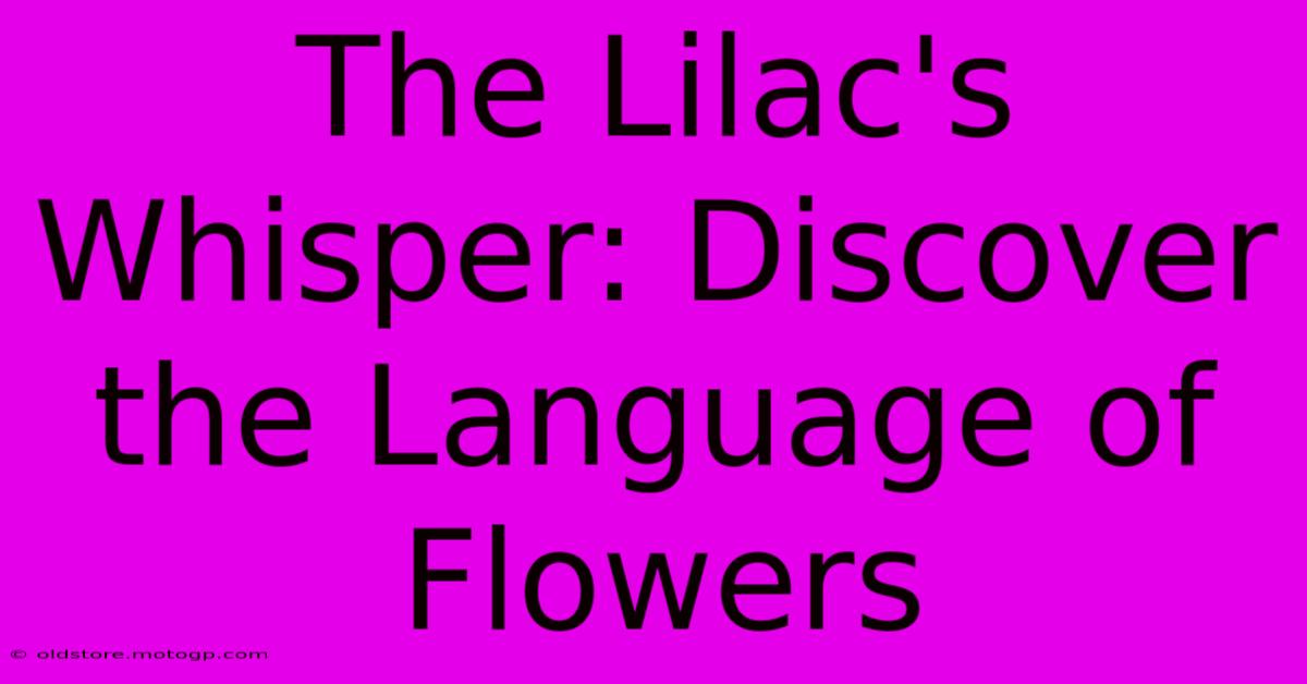 The Lilac's Whisper: Discover The Language Of Flowers