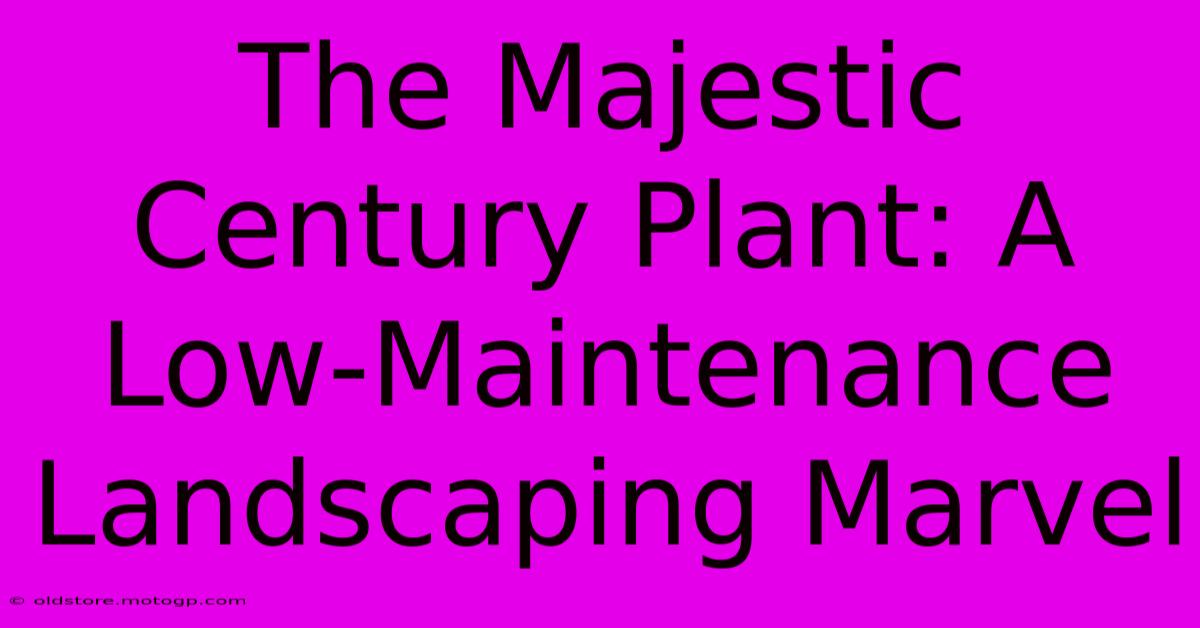 The Majestic Century Plant: A Low-Maintenance Landscaping Marvel