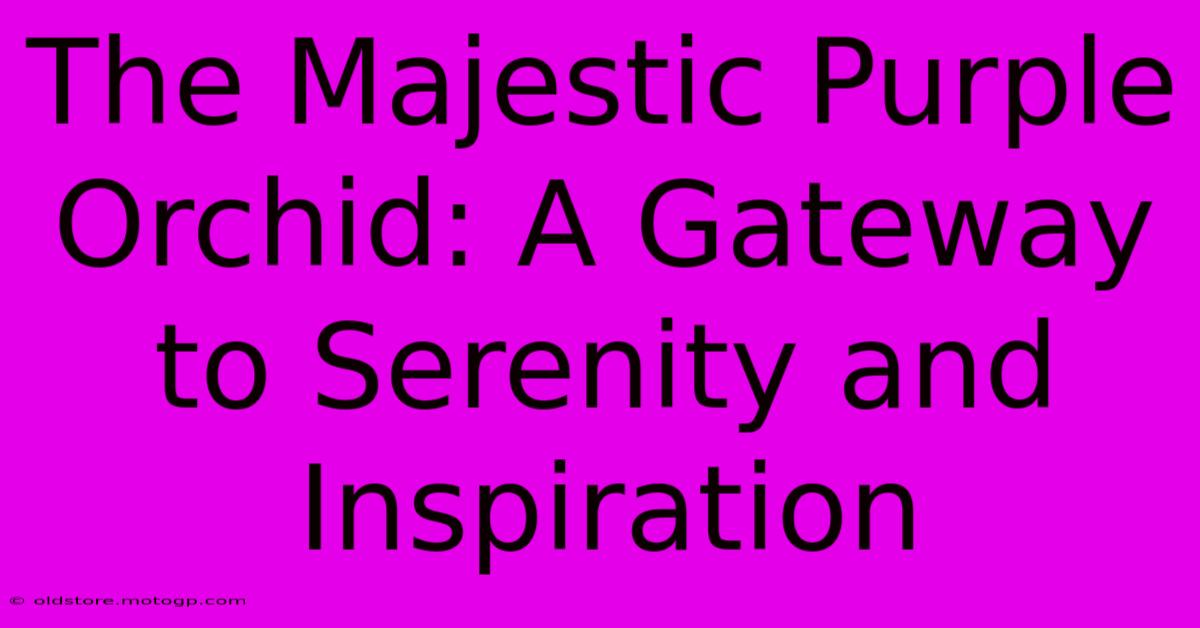 The Majestic Purple Orchid: A Gateway To Serenity And Inspiration