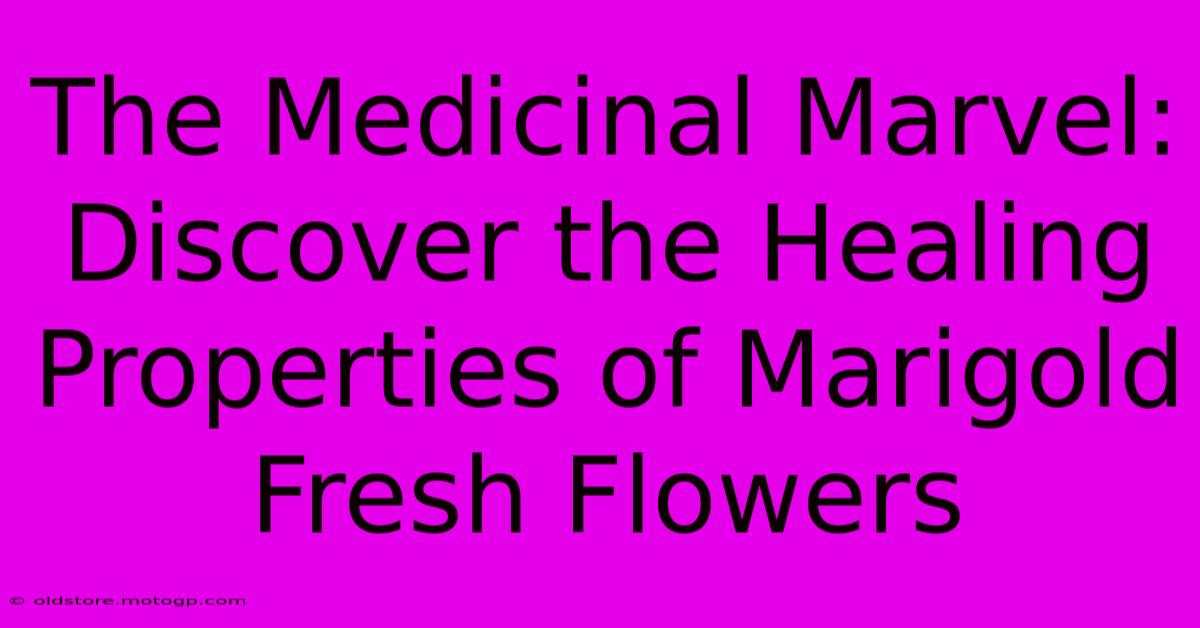 The Medicinal Marvel: Discover The Healing Properties Of Marigold Fresh Flowers