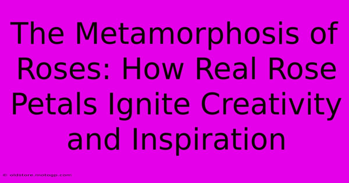 The Metamorphosis Of Roses: How Real Rose Petals Ignite Creativity And Inspiration