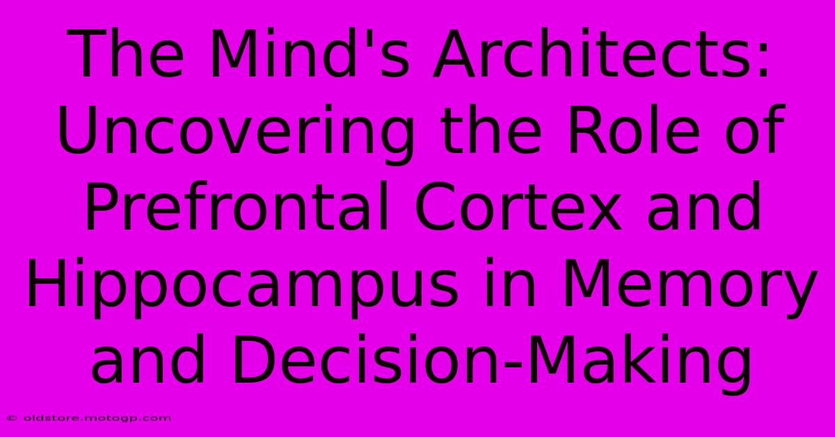 The Mind's Architects: Uncovering The Role Of Prefrontal Cortex And Hippocampus In Memory And Decision-Making