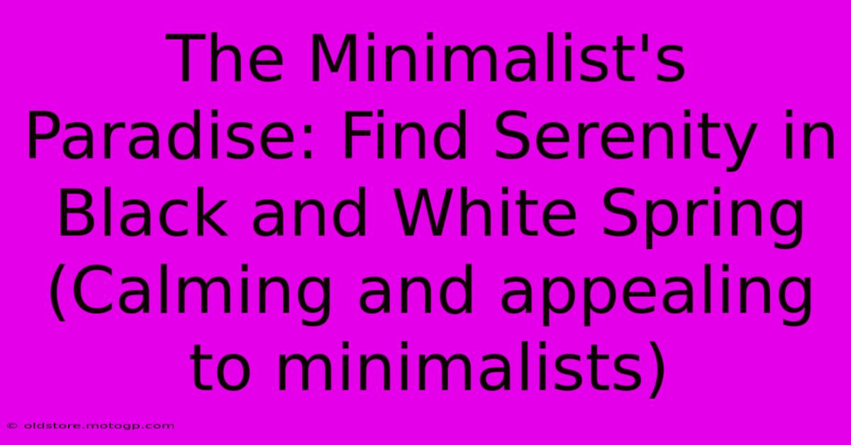 The Minimalist's Paradise: Find Serenity In Black And White Spring (Calming And Appealing To Minimalists)