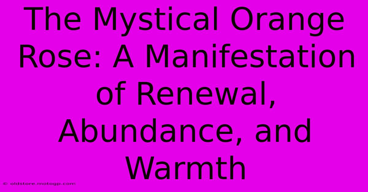 The Mystical Orange Rose: A Manifestation Of Renewal, Abundance, And Warmth