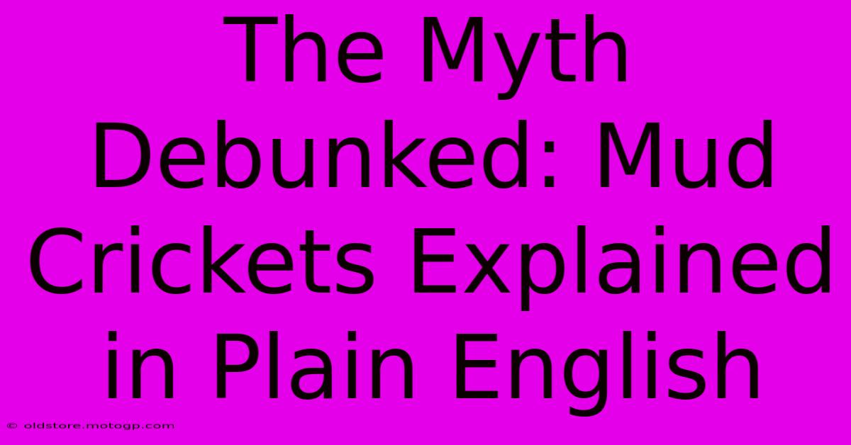 The Myth Debunked: Mud Crickets Explained In Plain English