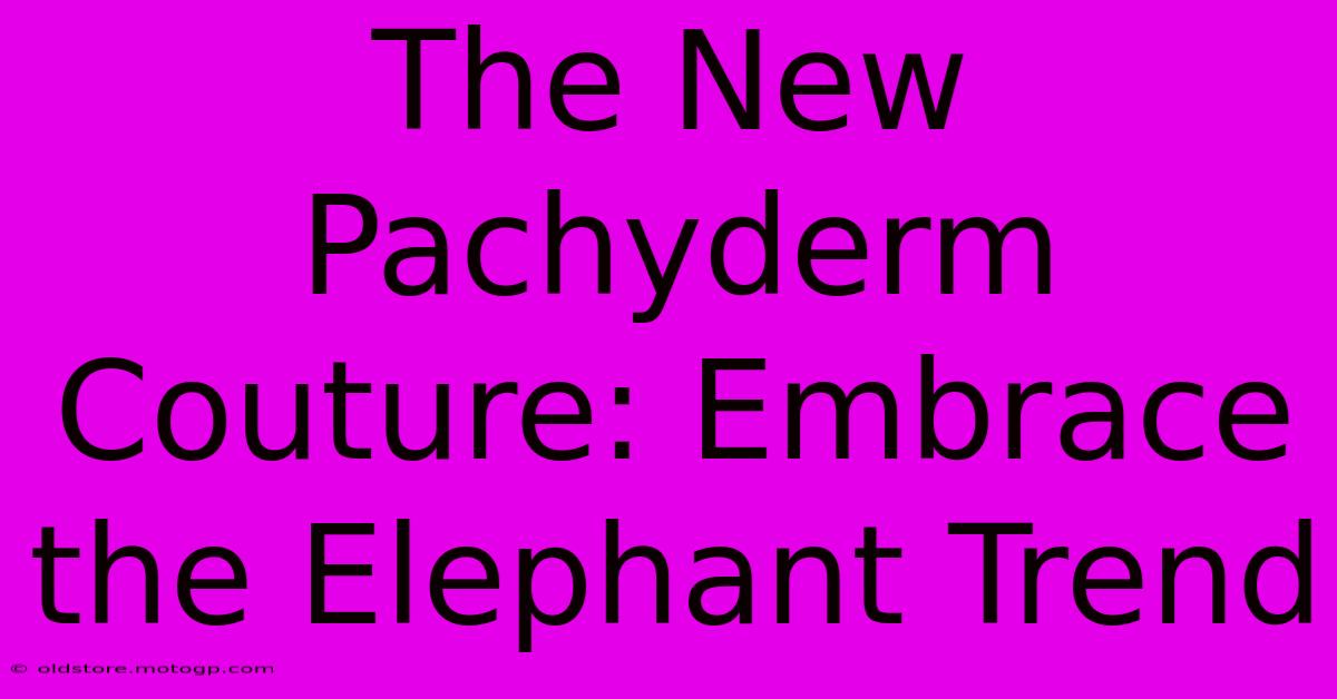 The New Pachyderm Couture: Embrace The Elephant Trend