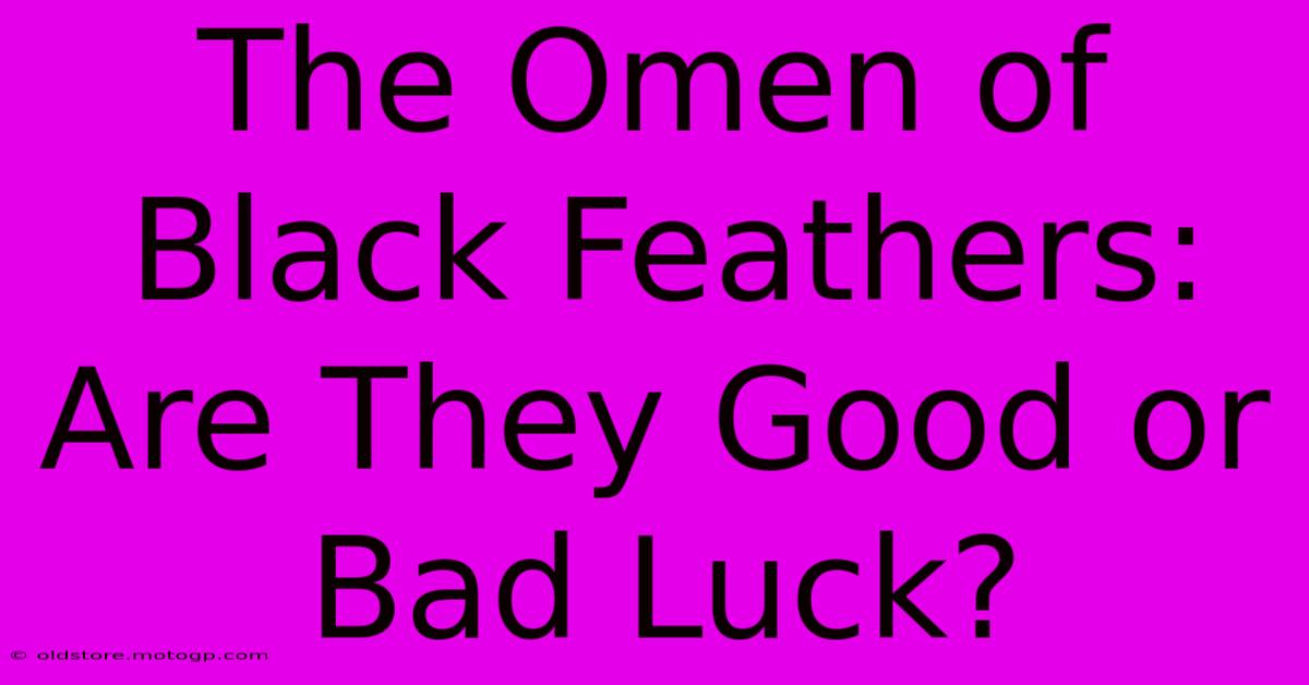 The Omen Of Black Feathers: Are They Good Or Bad Luck?