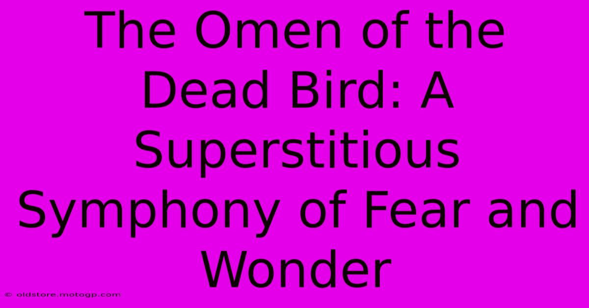 The Omen Of The Dead Bird: A Superstitious Symphony Of Fear And Wonder