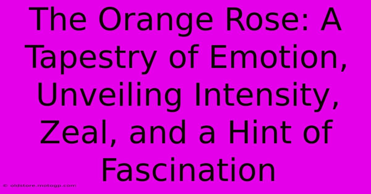 The Orange Rose: A Tapestry Of Emotion, Unveiling Intensity, Zeal, And A Hint Of Fascination