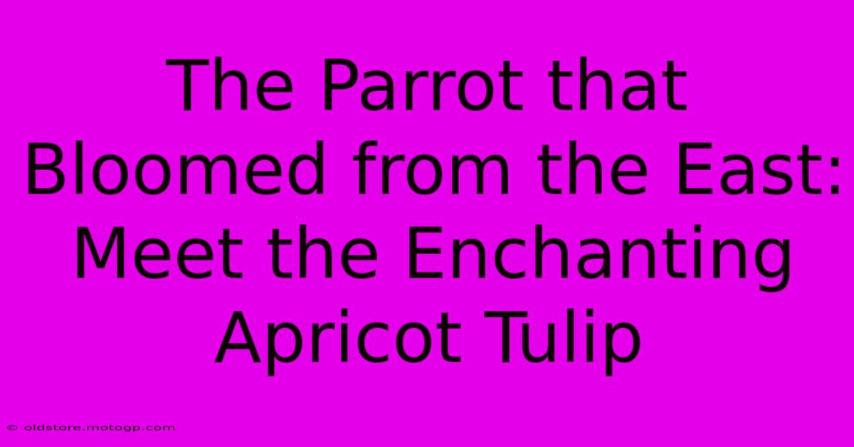 The Parrot That Bloomed From The East: Meet The Enchanting Apricot Tulip