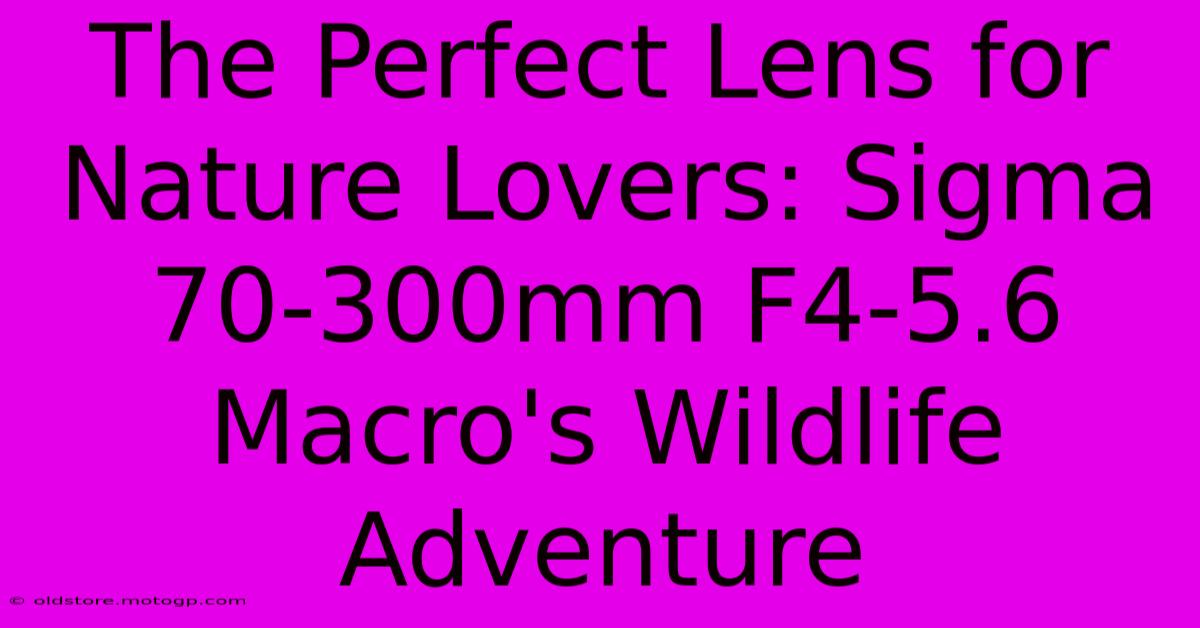 The Perfect Lens For Nature Lovers: Sigma 70-300mm F4-5.6 Macro's Wildlife Adventure