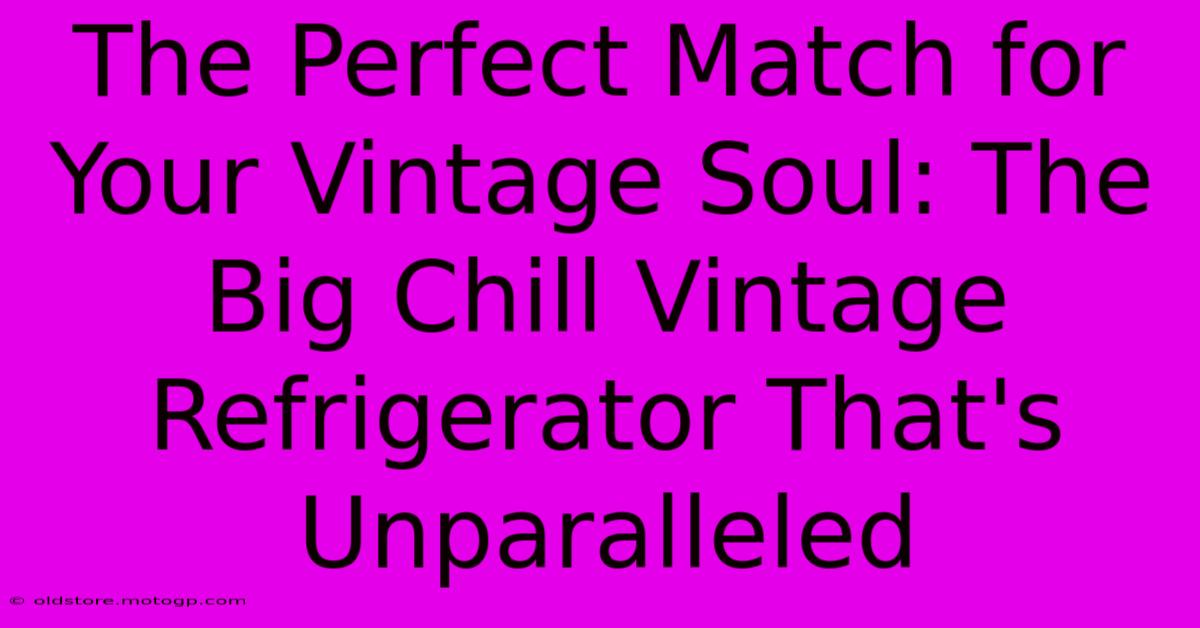 The Perfect Match For Your Vintage Soul: The Big Chill Vintage Refrigerator That's Unparalleled