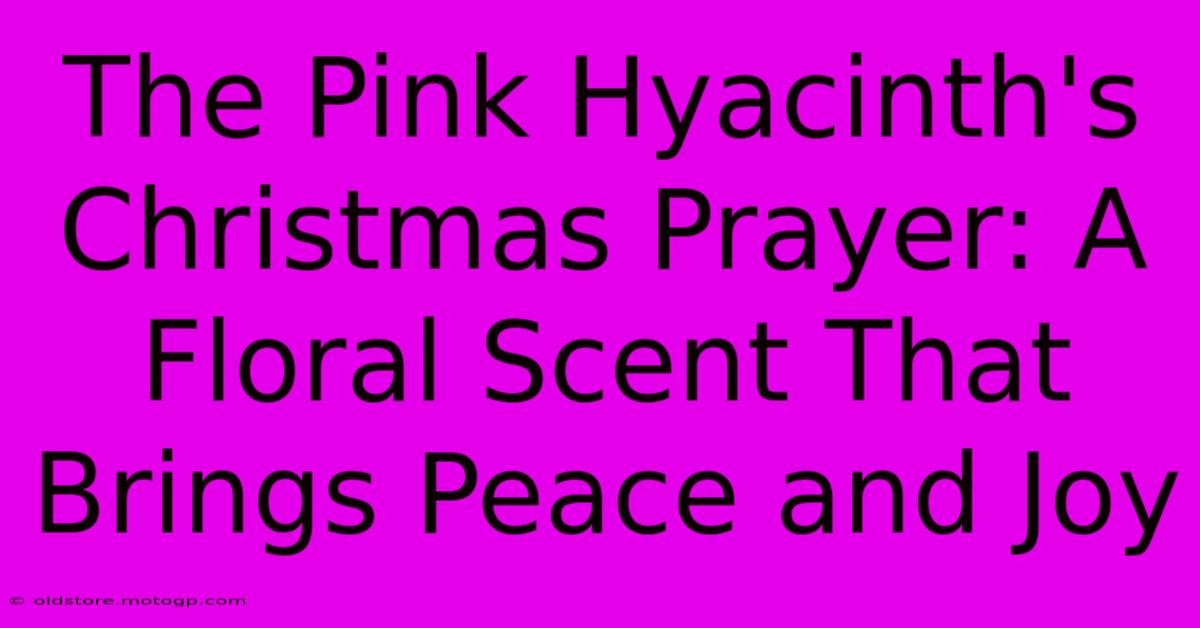 The Pink Hyacinth's Christmas Prayer: A Floral Scent That Brings Peace And Joy