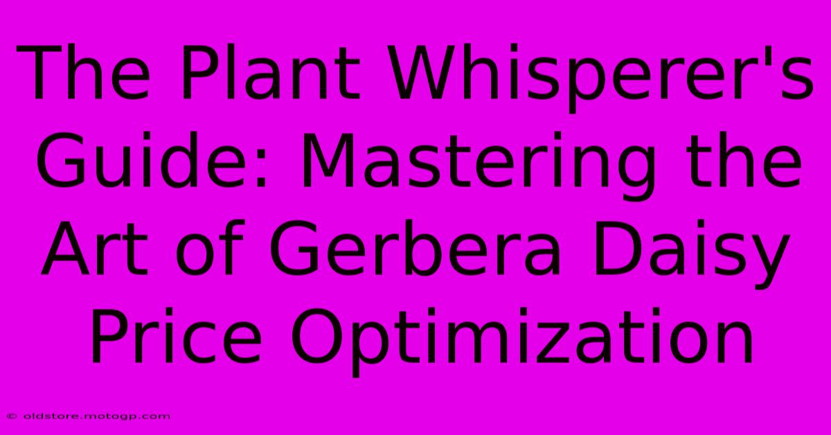 The Plant Whisperer's Guide: Mastering The Art Of Gerbera Daisy Price Optimization