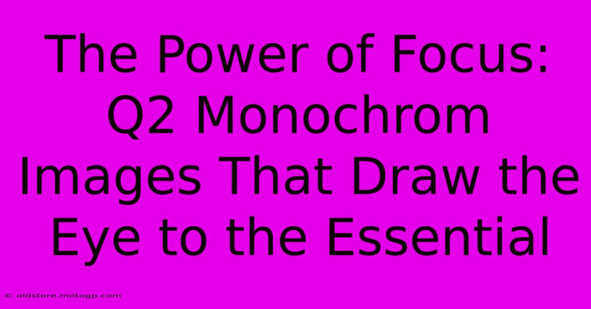 The Power Of Focus: Q2 Monochrom Images That Draw The Eye To The Essential