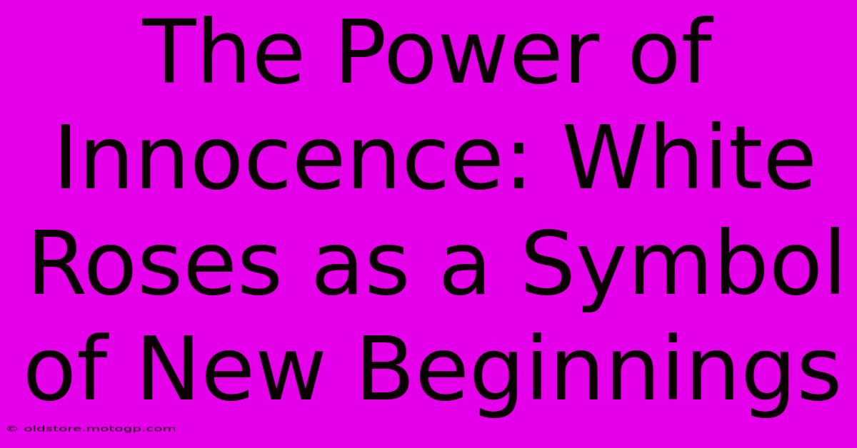 The Power Of Innocence: White Roses As A Symbol Of New Beginnings