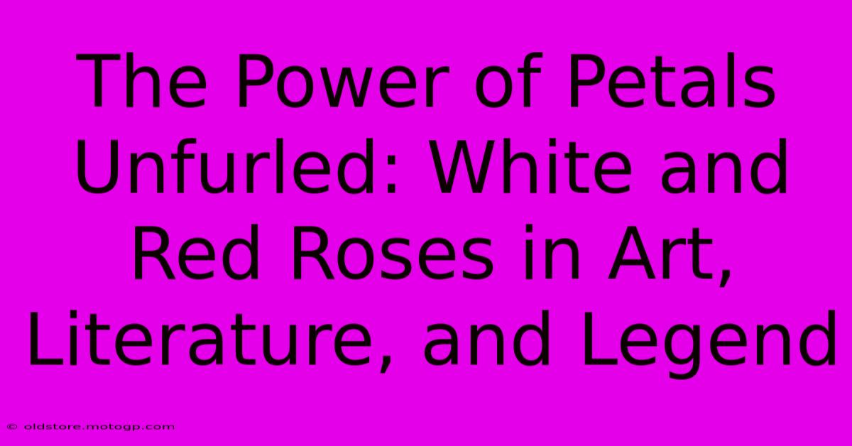 The Power Of Petals Unfurled: White And Red Roses In Art, Literature, And Legend