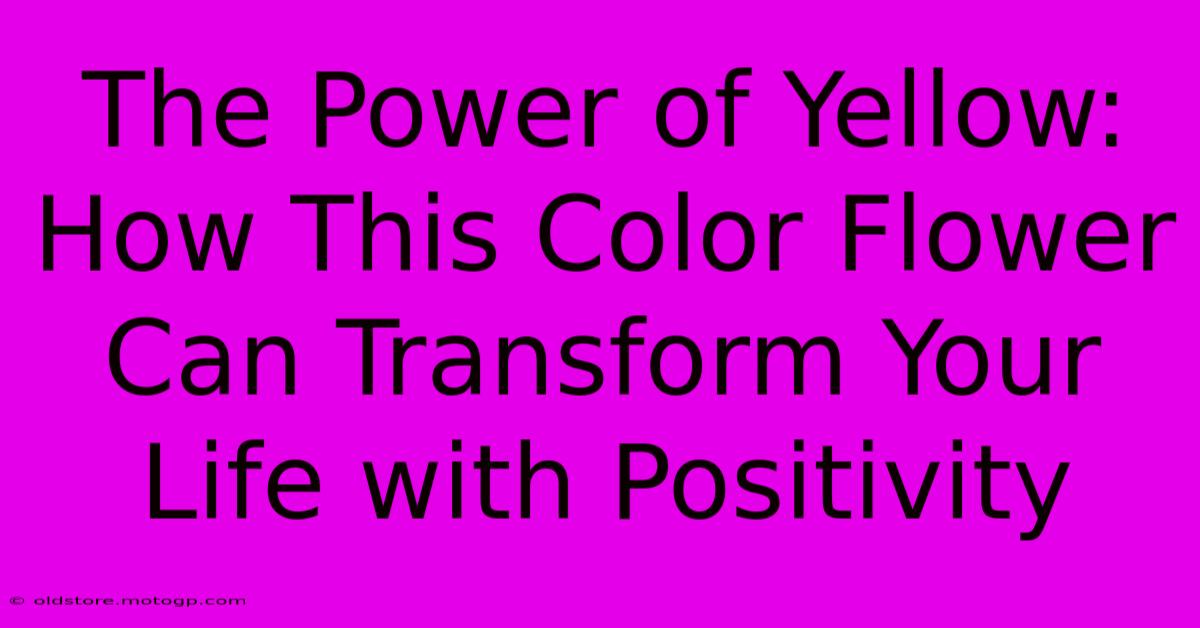 The Power Of Yellow: How This Color Flower Can Transform Your Life With Positivity