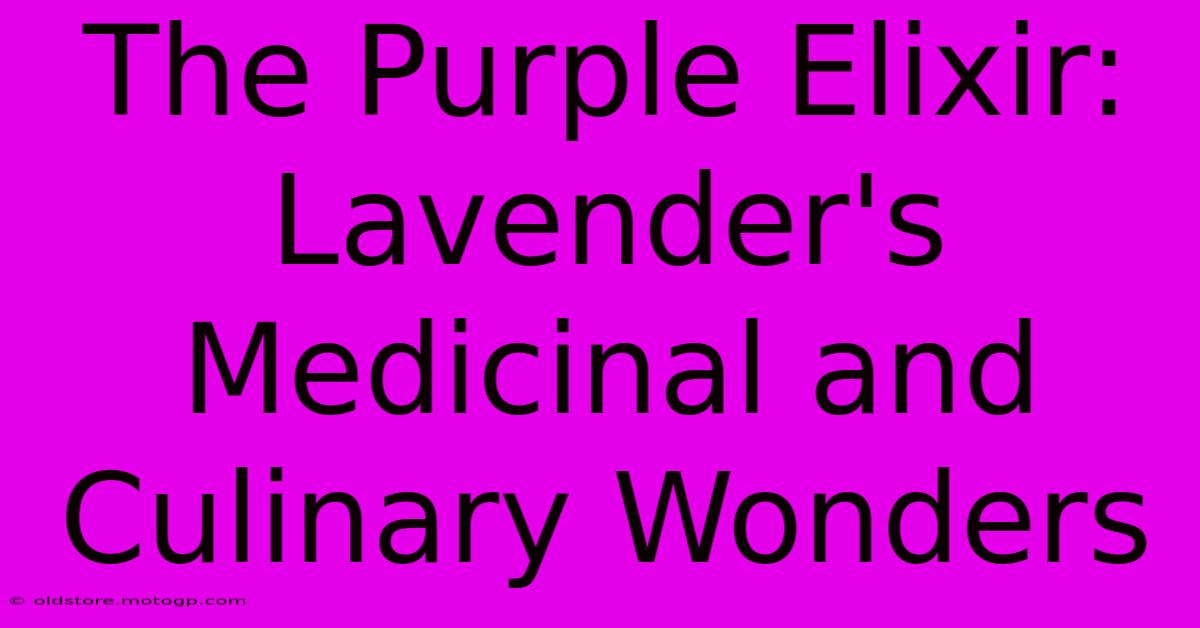 The Purple Elixir: Lavender's Medicinal And Culinary Wonders