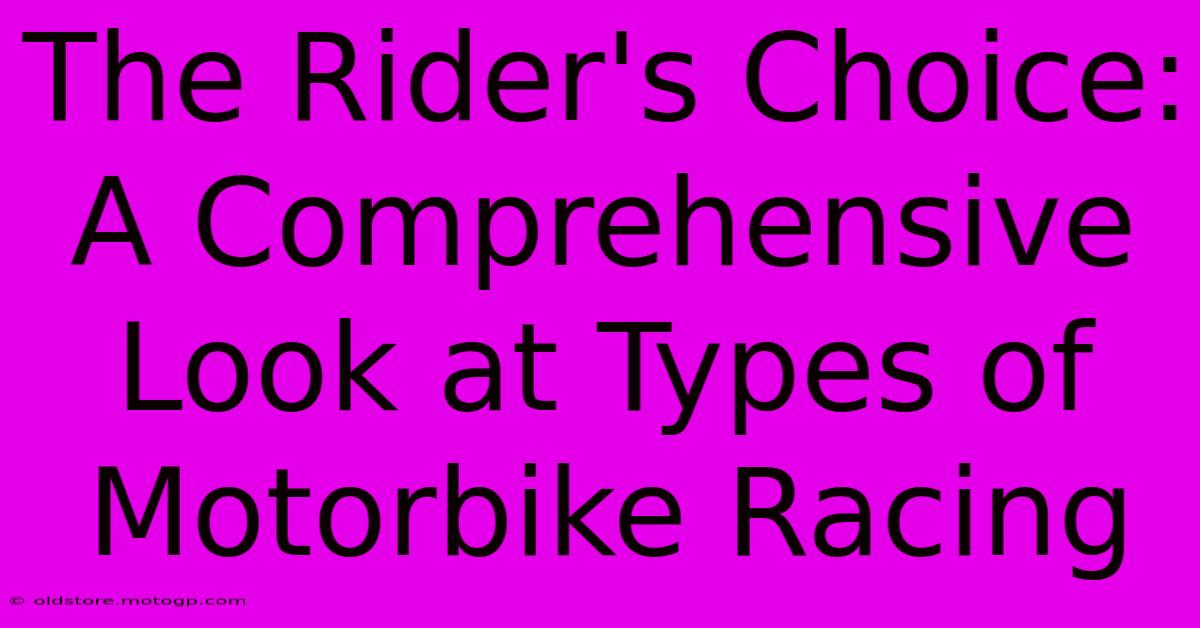 The Rider's Choice:  A Comprehensive Look At Types Of Motorbike Racing