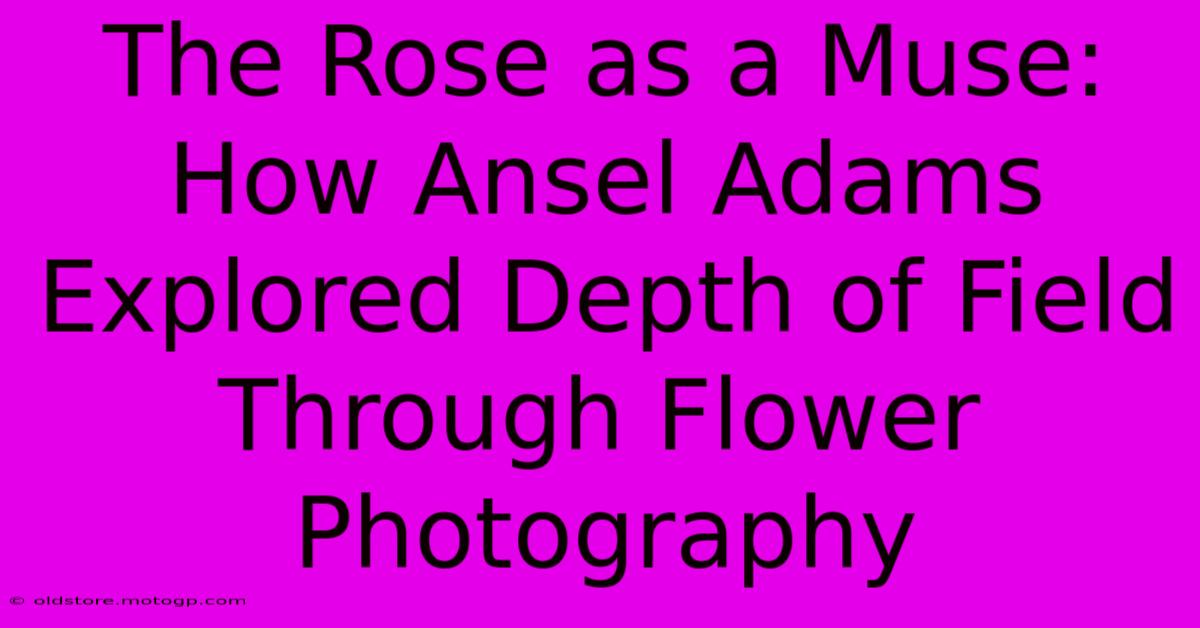 The Rose As A Muse: How Ansel Adams Explored Depth Of Field Through Flower Photography