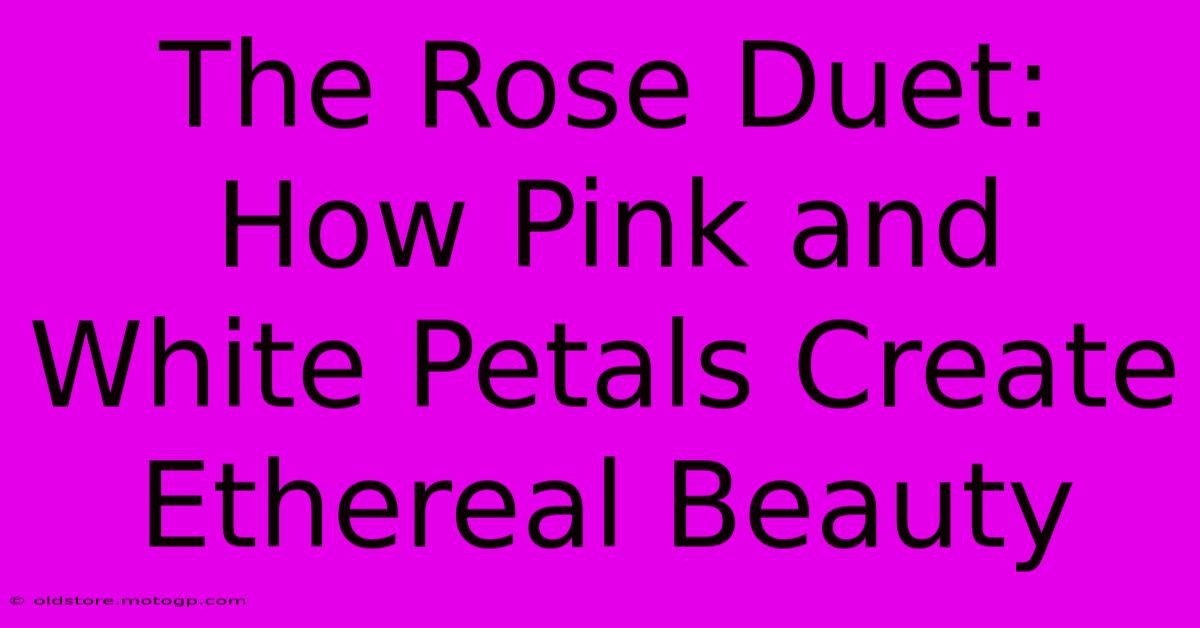 The Rose Duet: How Pink And White Petals Create Ethereal Beauty